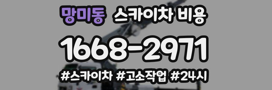 망미동 스카이차 비용