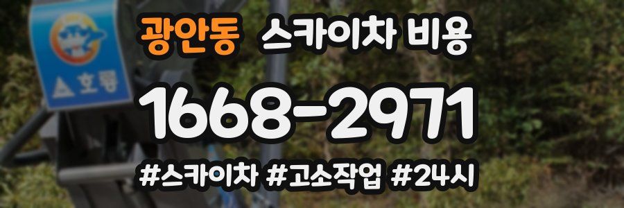 광안동 스카이차 비용