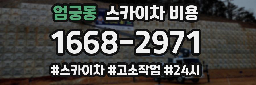 엄궁동 스카이차 비용