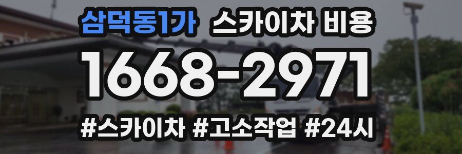 삼덕동1가 스카이차 비용