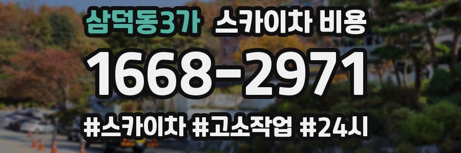 삼덕동3가 스카이차 비용