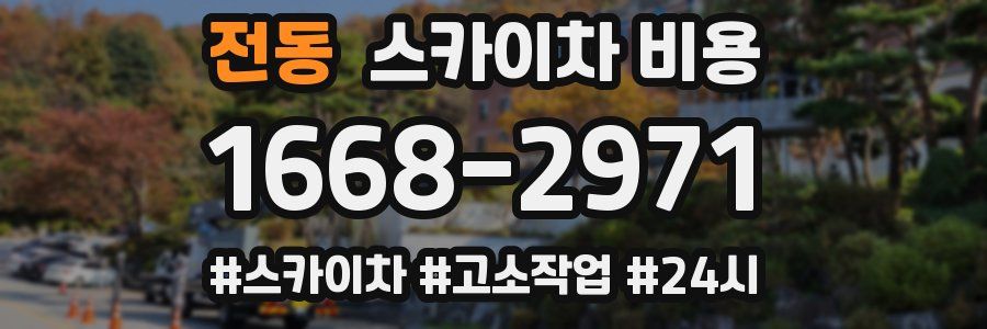 전동 스카이차 비용