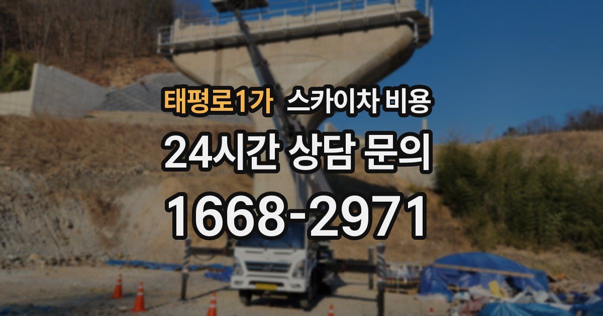 태평로1가 스카이차 비용