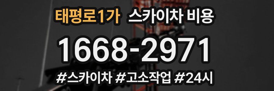 태평로1가 스카이차 비용