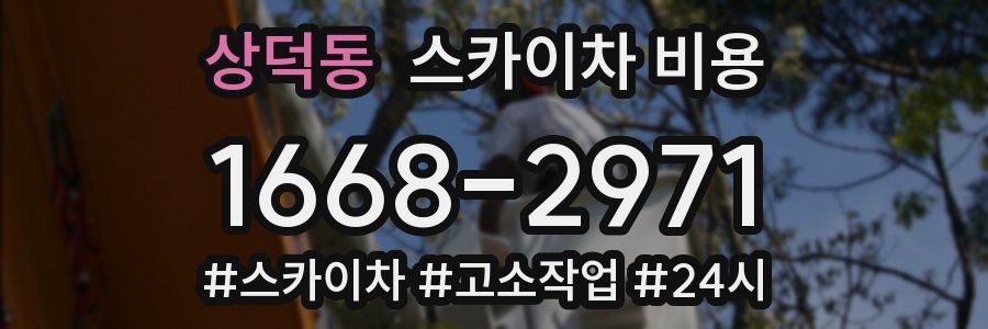 상덕동 스카이차 비용