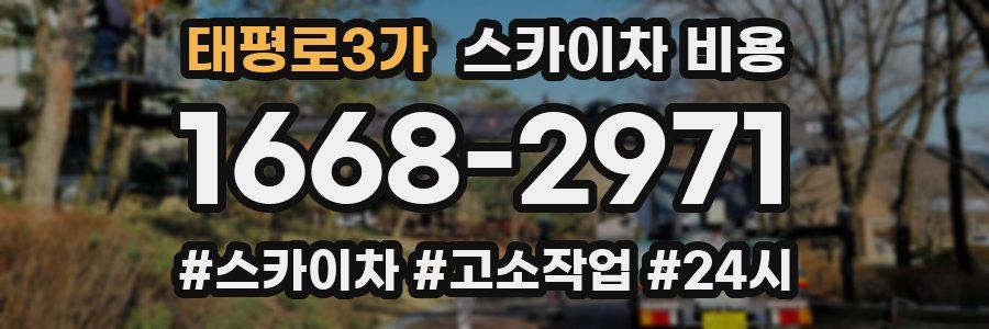 태평로3가 스카이차 비용