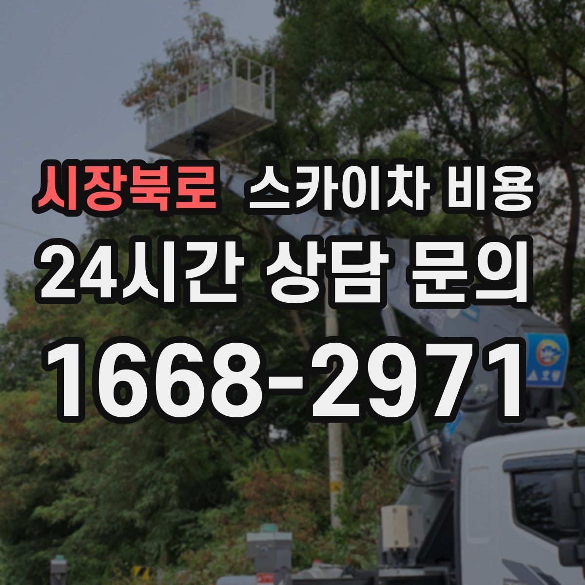 시장북로 스카이차 비용