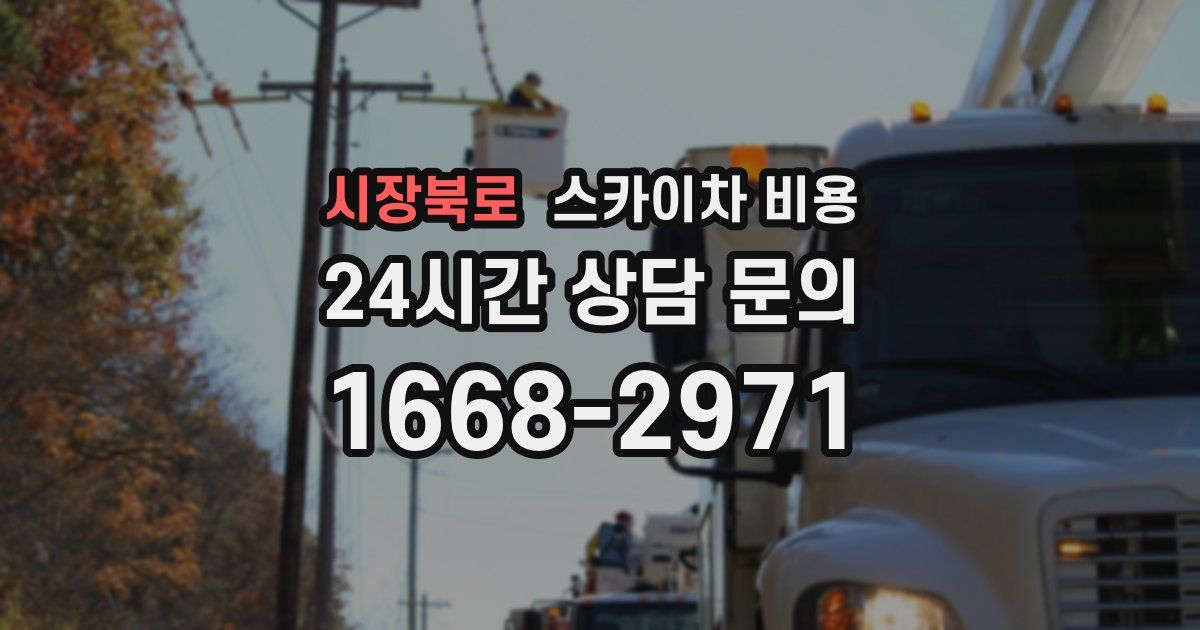 시장북로 스카이차 비용