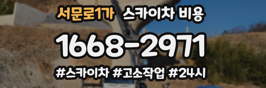 서문로1가 스카이차 비용