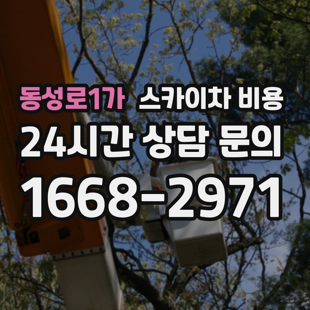 동성로1가 스카이차 비용 전면 사진만 보내면 부족한 이유