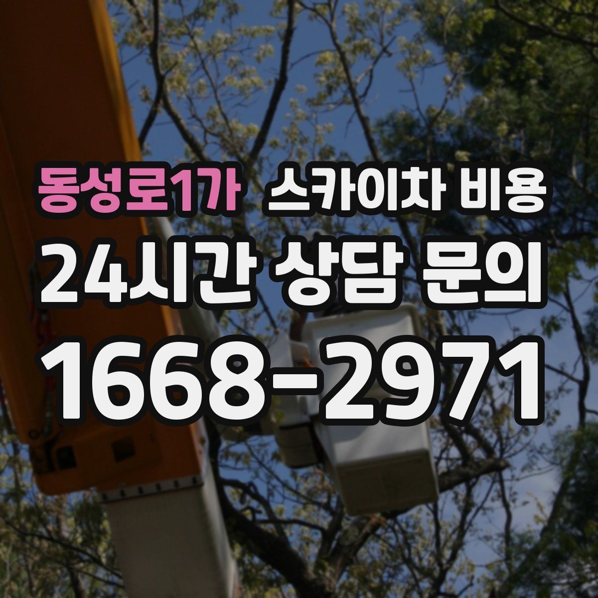 동성로1가 스카이차 비용