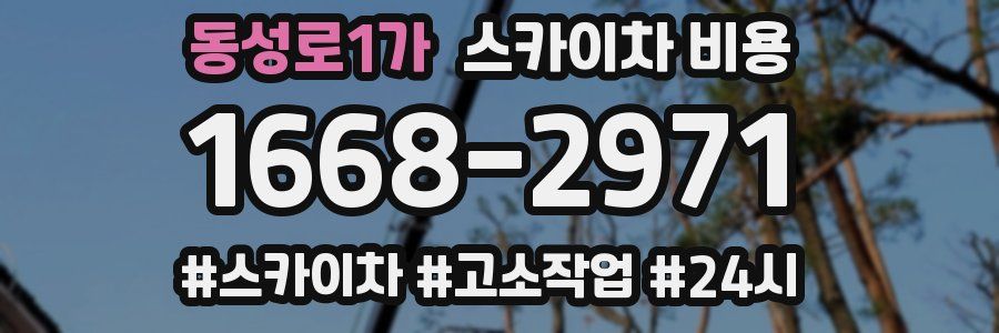 동성로1가 스카이차 비용