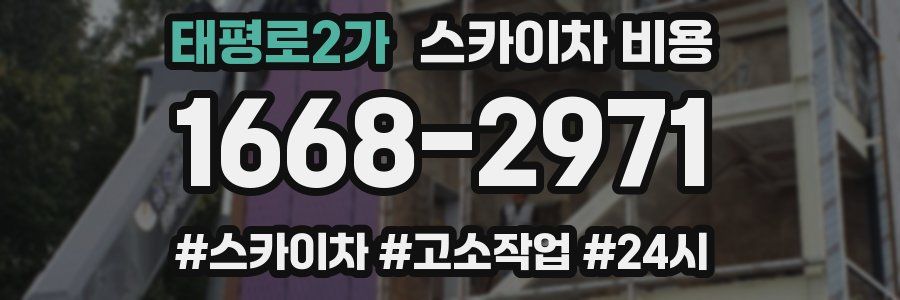 태평로2가 스카이차 비용