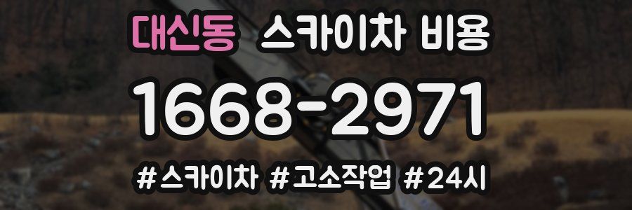 대신동 스카이차 비용