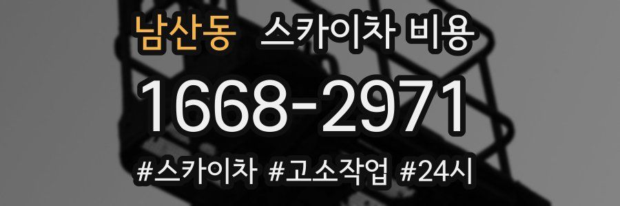 남산동 스카이차 비용