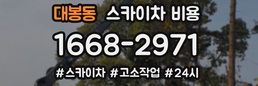 대봉동 스카이차 비용