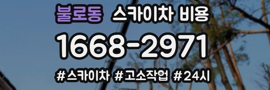 불로동 스카이차 비용