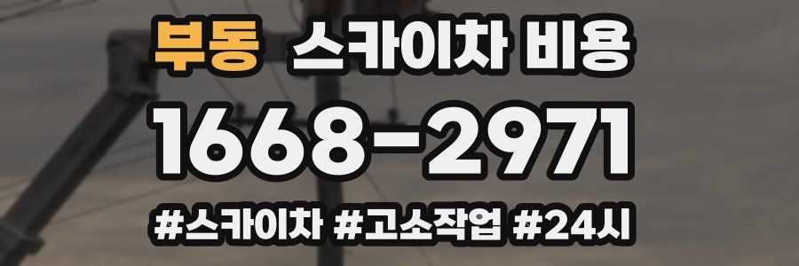 부동 스카이차 비용