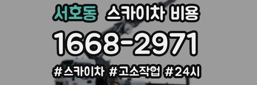 서호동 스카이차 비용