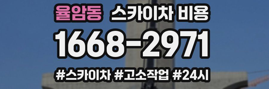 율암동 스카이차 비용