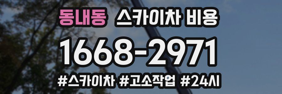 동내동 스카이차 비용