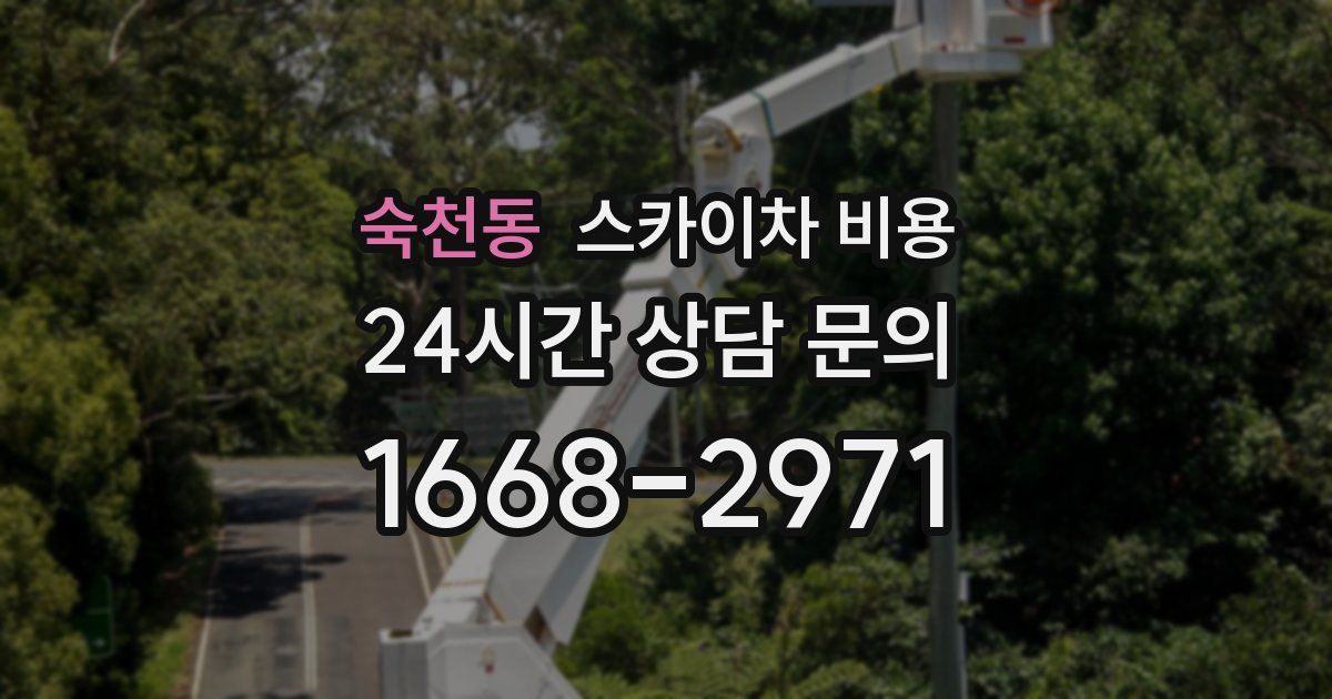 숙천동 스카이차 비용