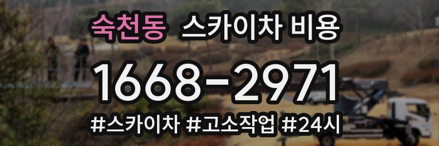 숙천동 스카이차 비용