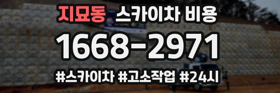 지묘동 스카이차 비용