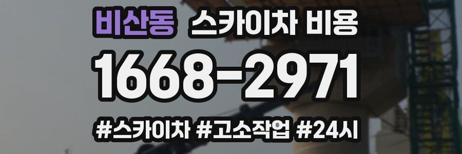 비산동 스카이차 비용