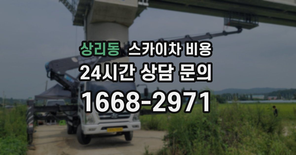 상리동 스카이차 비용