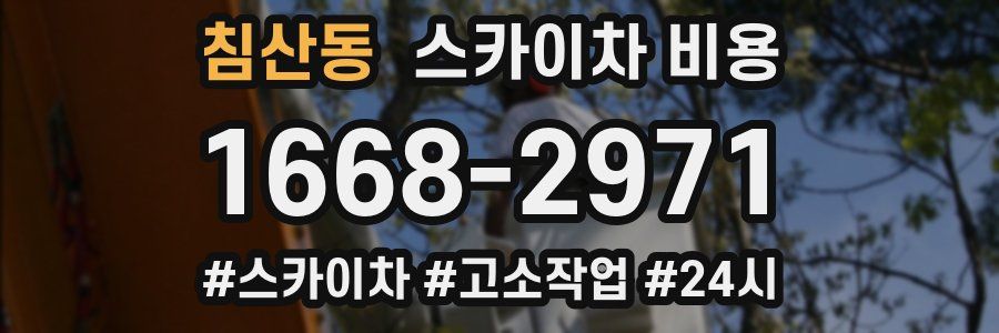 침산동 스카이차 비용