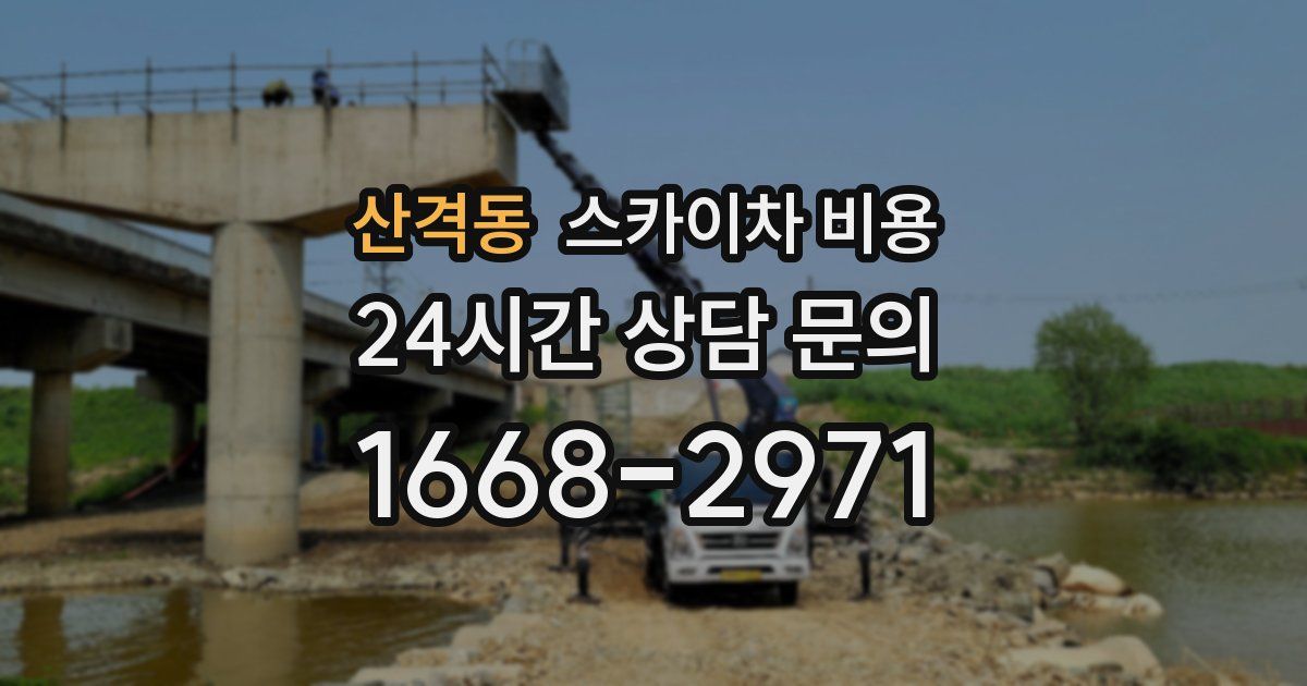 산격동 스카이차 비용