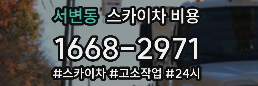서변동 스카이차 비용