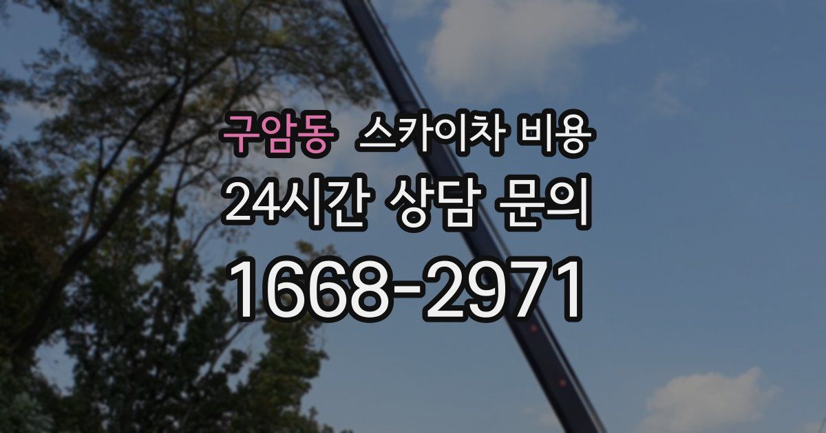 구암동 스카이차 비용