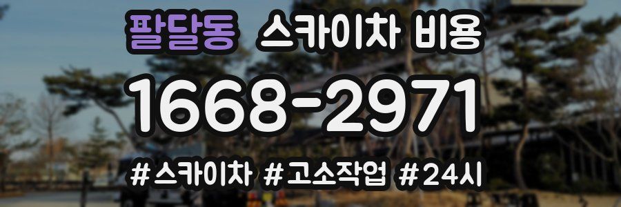 팔달동 스카이차 비용