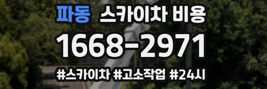 파동 스카이차 비용