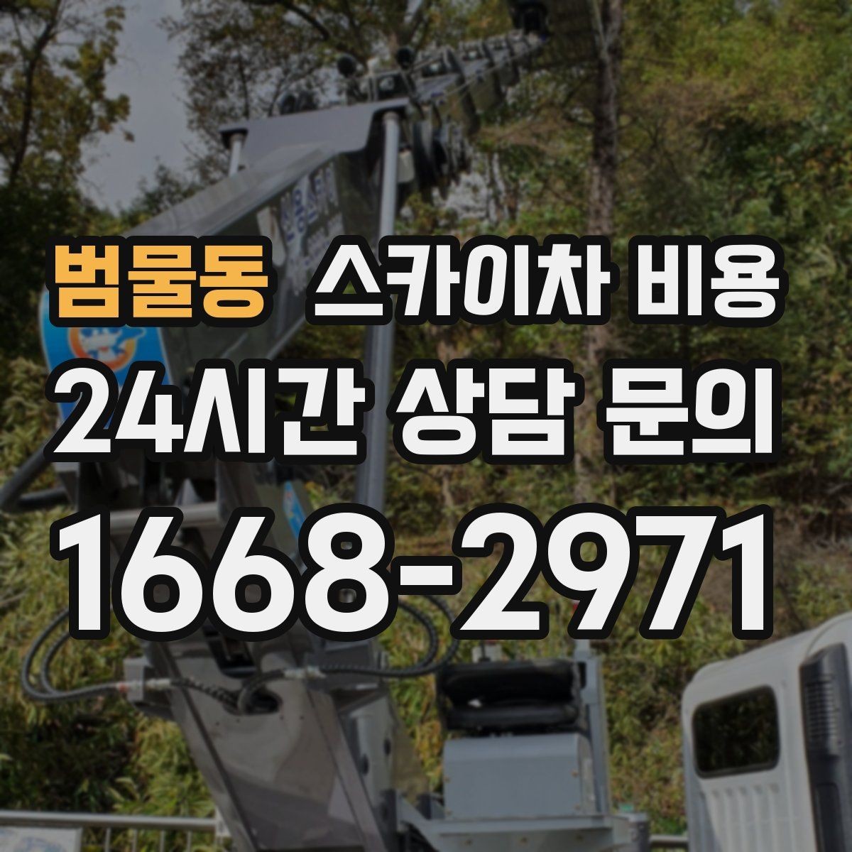 범물동 스카이차 비용 수목 전정은 무엇을 기준으로 견적이 나올까