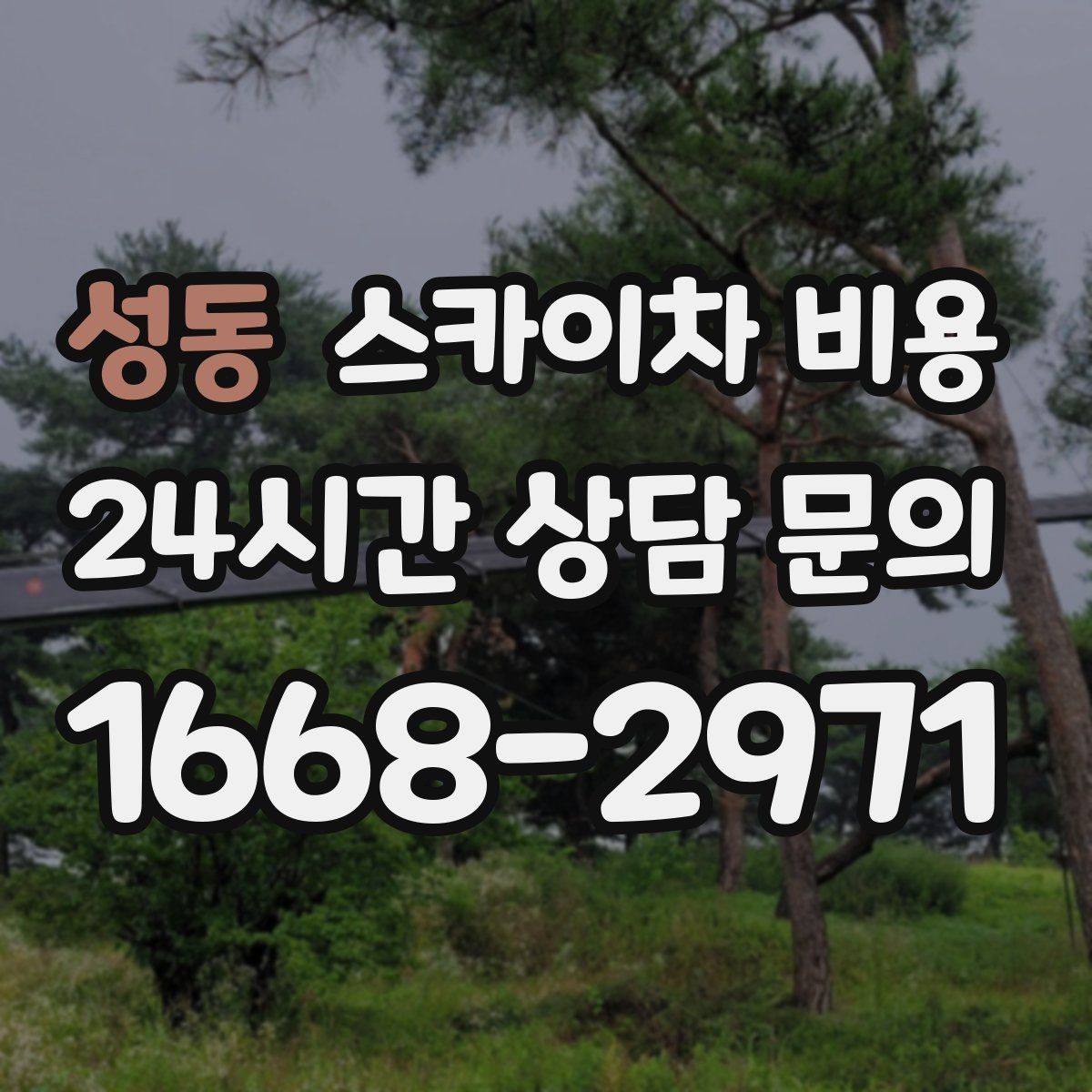 성동 스카이차 비용 빗물받이 청소가 필요한 현장 특징