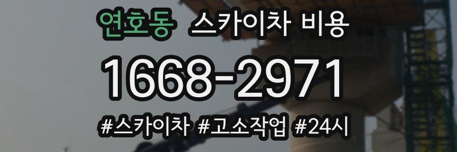 연호동 스카이차 비용