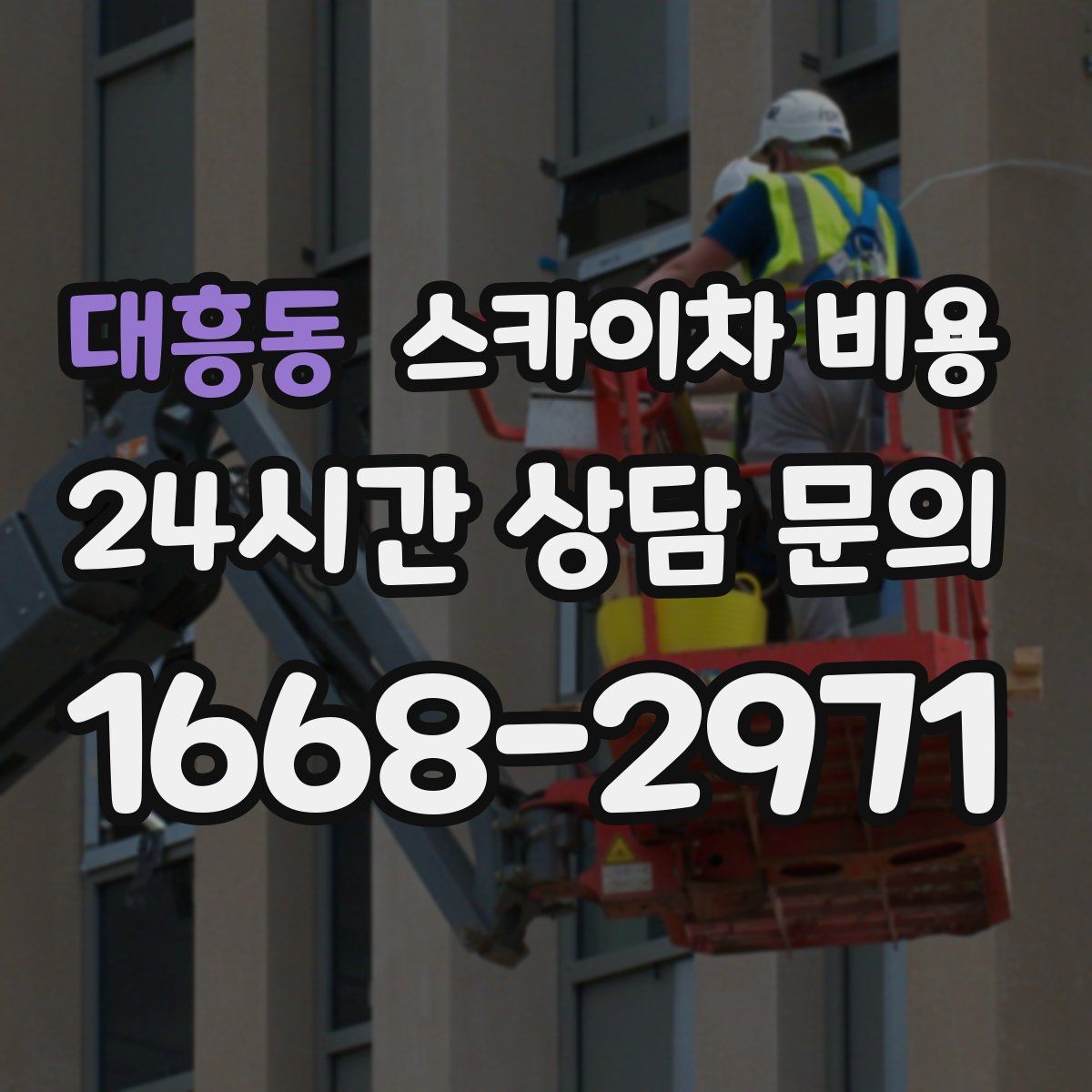 대흥동 스카이차 비용