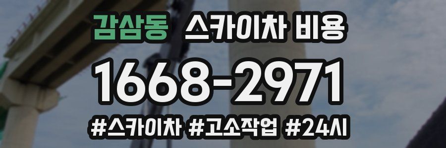 감삼동 스카이차 비용