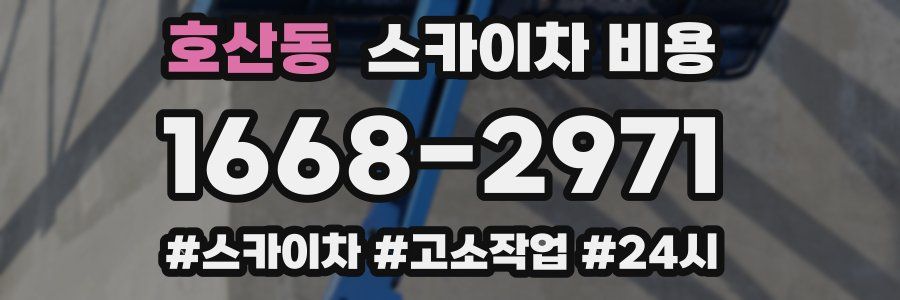 호산동 스카이차 비용