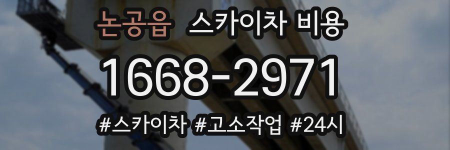 논공읍 스카이차 비용