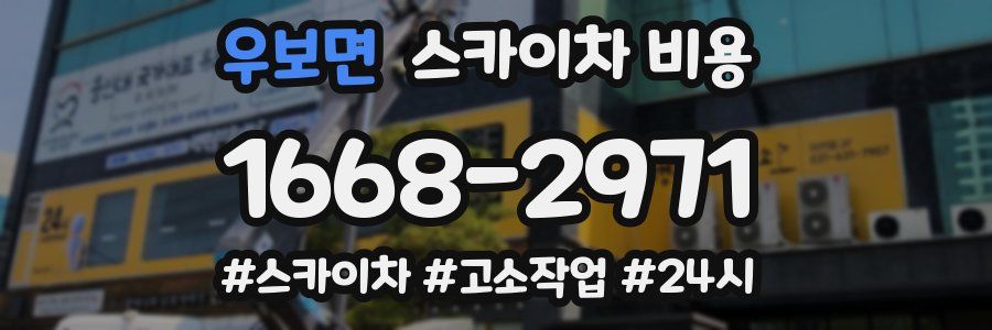 우보면 스카이차 비용