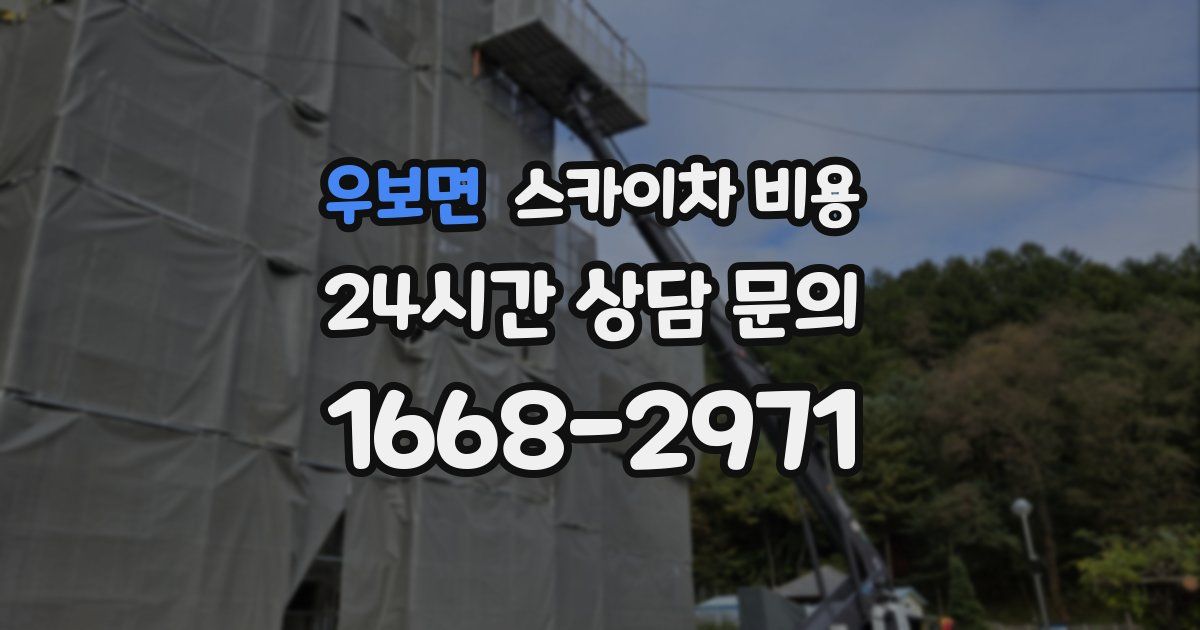 우보면 스카이차 비용