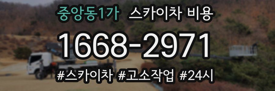 중앙동1가 스카이차 비용