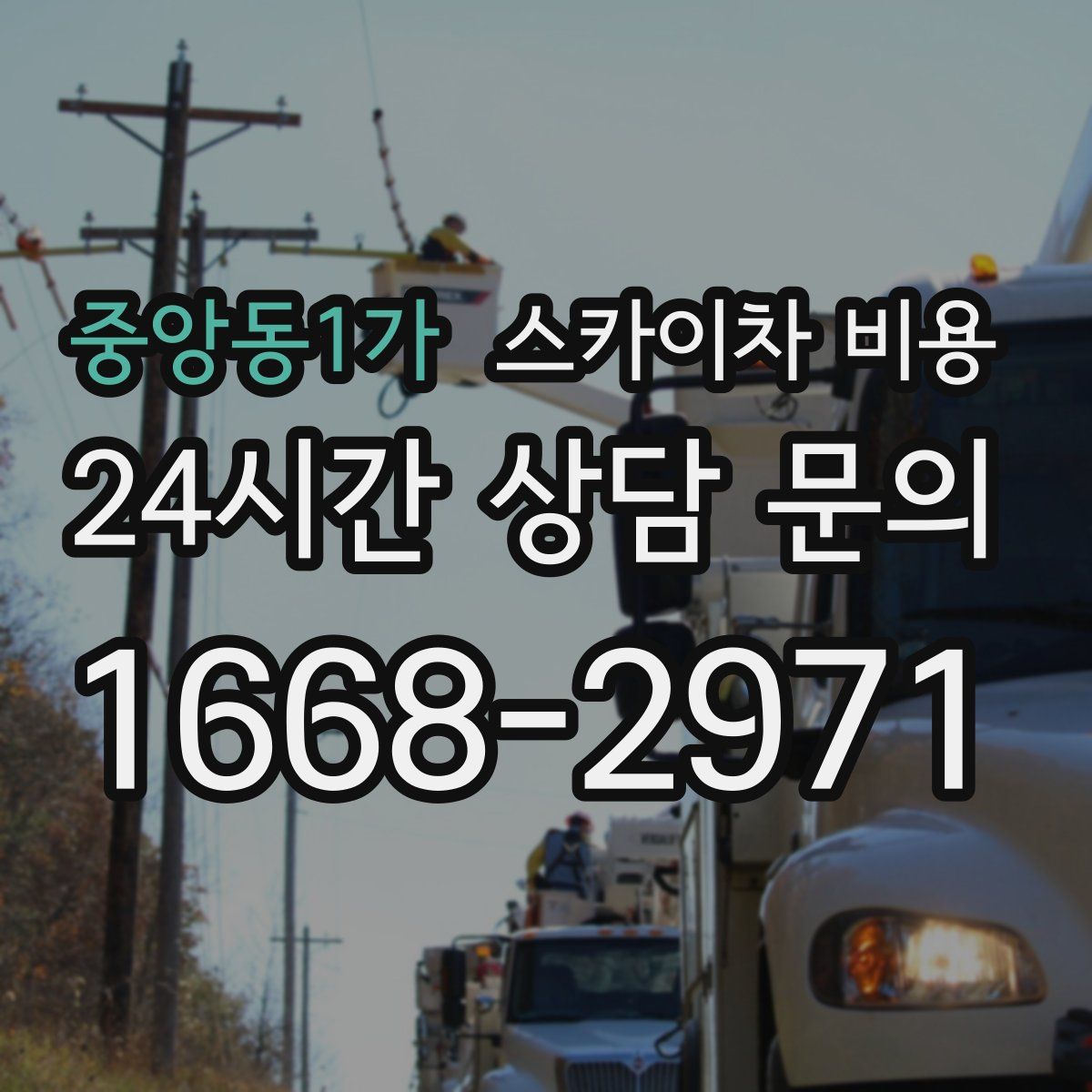 중앙동1가 스카이차 비용