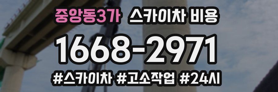 중앙동3가 스카이차 비용