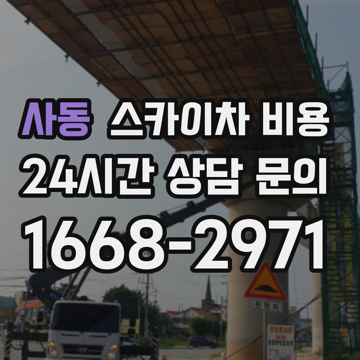 사동 스카이차 비용 나무 전지·가지치기는 작업 범위가 핵심입니다