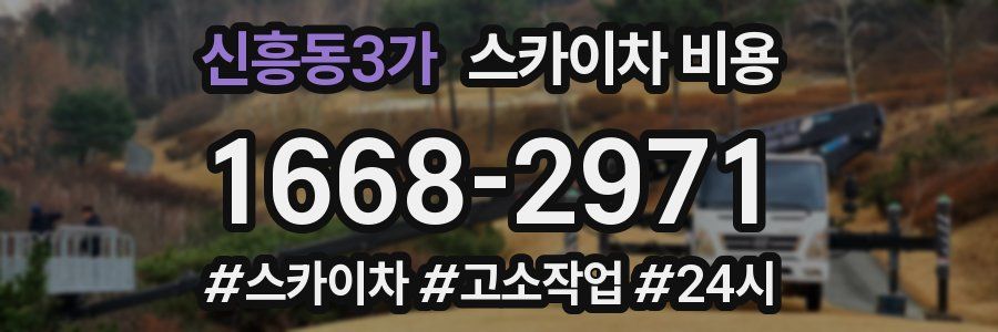 신흥동3가 스카이차 비용